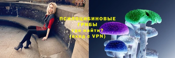 МДПВ Инсар