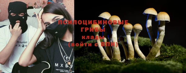 мдпв Каменногорск