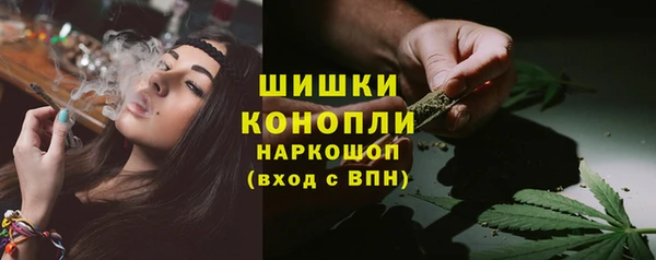 мдпв Каменногорск