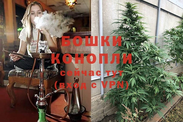 МДПВ Инсар