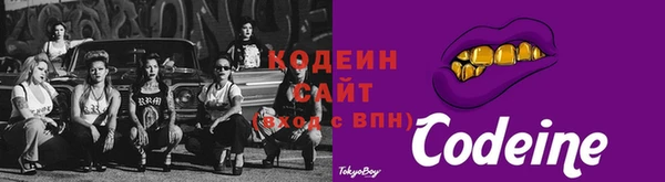 МДПВ Инсар
