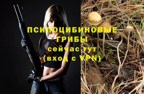 амф Инта