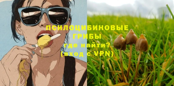МДПВ Инсар