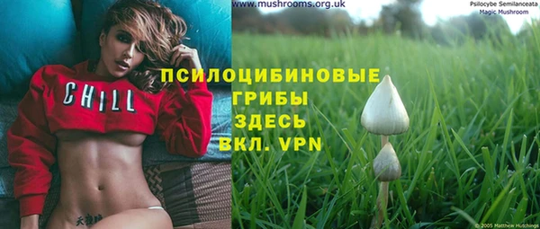 амф Инта