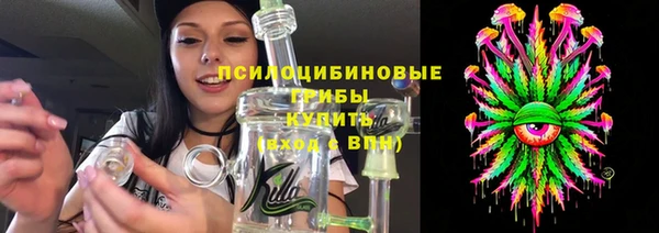 МДПВ Инсар