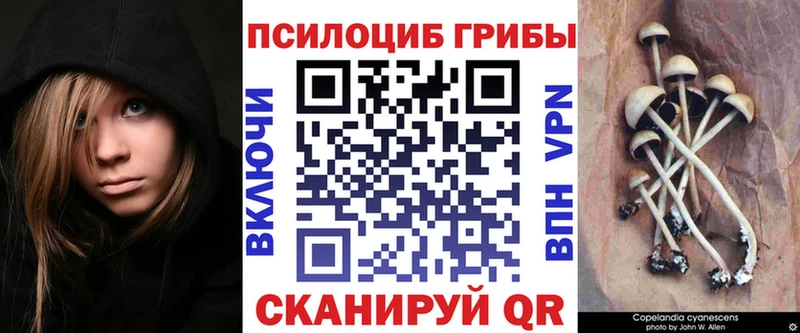 даркнет сайт  Нижнекамск  MEGA ONION  Галлюциногенные грибы ЛСД 