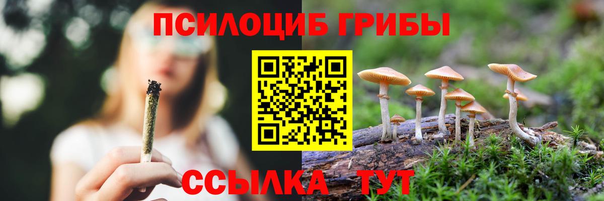Псилоцибиновые грибы Psilocybine cubensis  Вход с VPN  Нижнекамск 