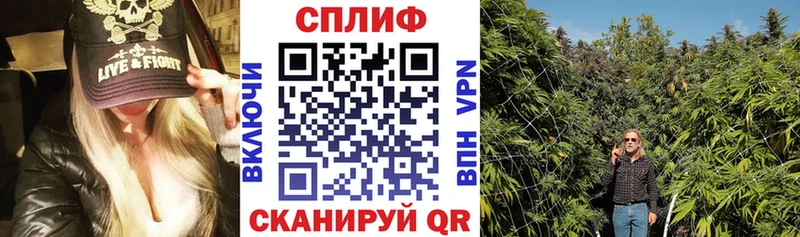 Бошки марихуана план  наркота  Нижнекамск 